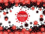 Karena Terkena Virus Covid-19 83 Warga Garut Meninggal